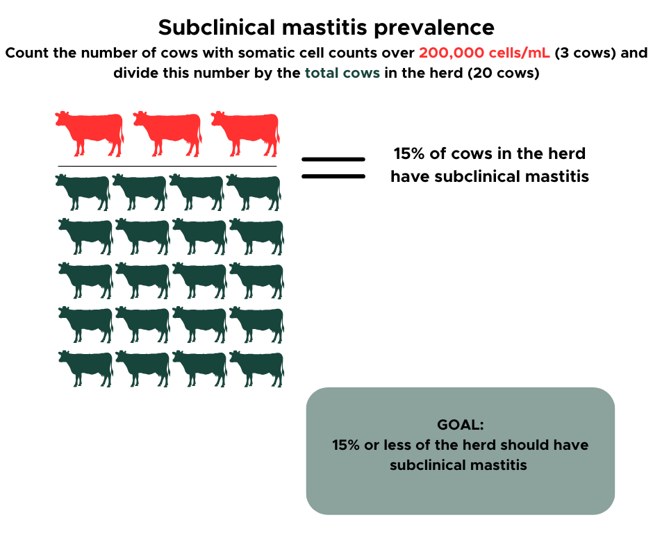 An illustrated infographic explaining how to calculate subclinical mastitis prevalence in a dairy herd. At the top, text instructs viewers to count the number of cows with somatic cell counts over 200,000 cells/mL (3 cows) and divide by the total herd size (20 cows). Below this, three red cow icons represent the affected cows, with seventeen green cow icons representing healthy cows. A label to the right states that 15% of cows in the herd have subclinical mastitis. At the bottom right, a gray rounded box contains the goal: &ldquo;15% or less of the herd should have subclinical mastitis.&rdquo;